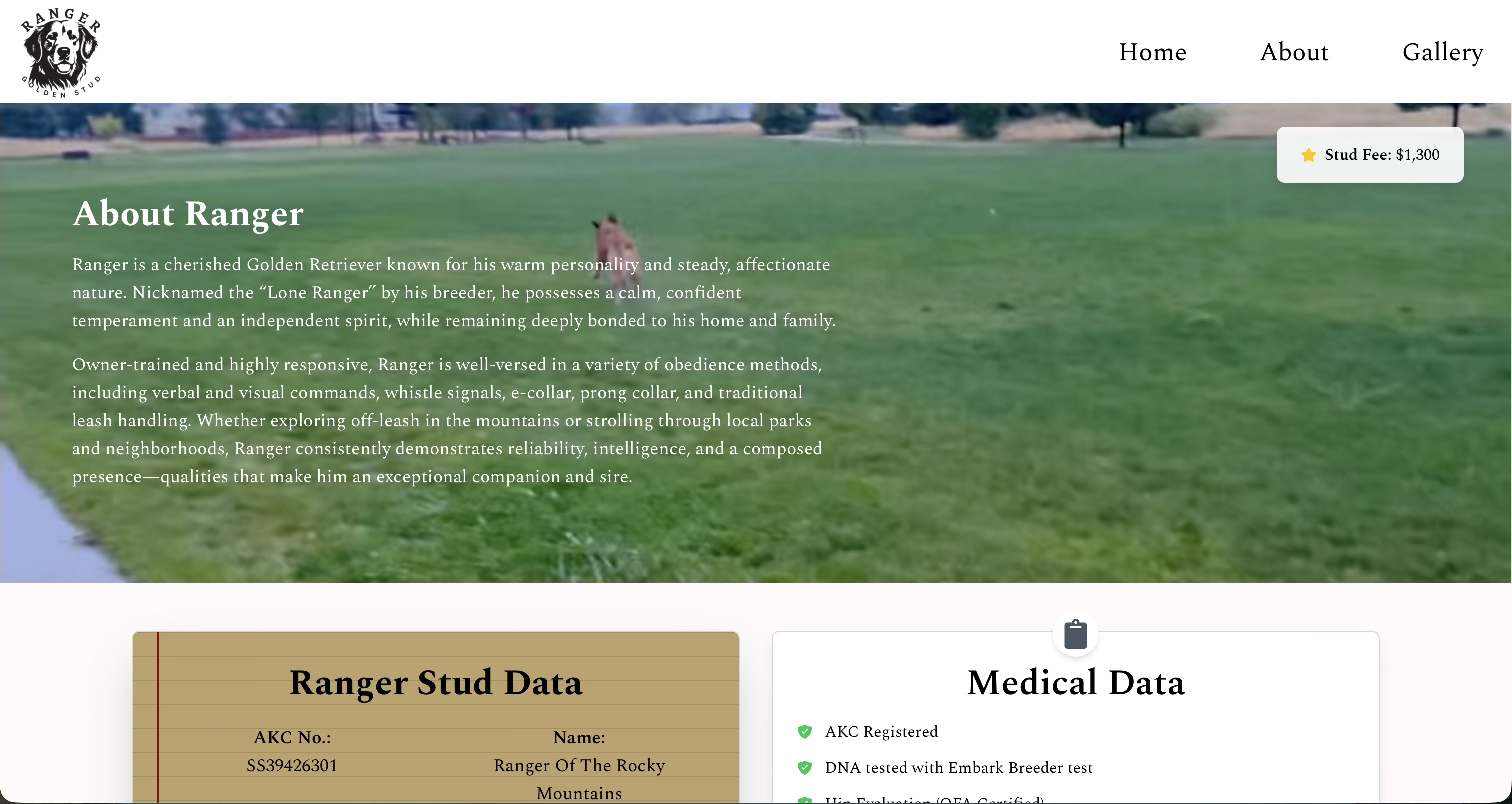 Ranger Golden Stud project screenshot 3