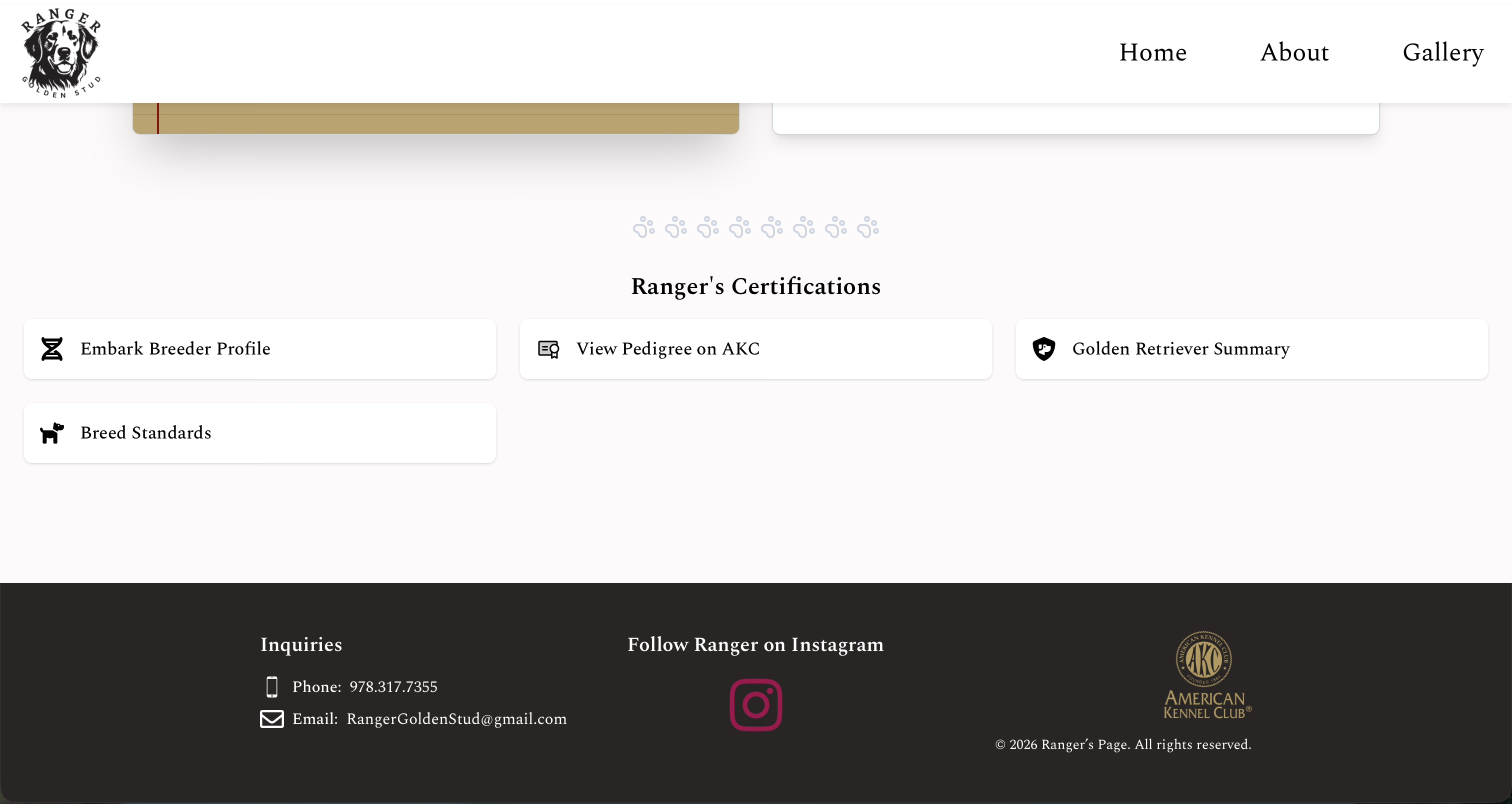 Ranger Golden Stud project screenshot 4